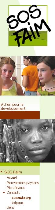 Ouvrir le site